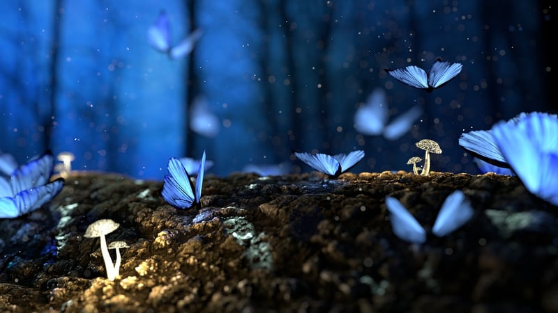 Enchanted Forest Accessories